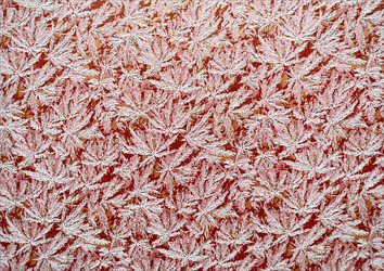 Similar image 952811