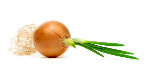 Similar image 952892