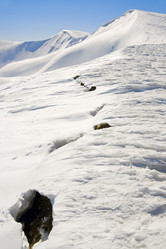 Similar image 953026