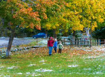 Similar image 953126