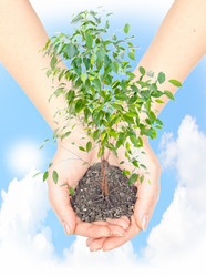 Similar image 953127