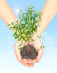 Similar image 953144