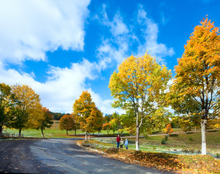 Similar image 953150