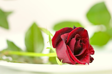 Similar image 953154