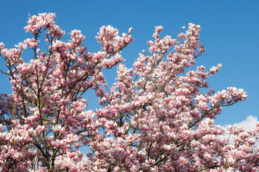 Similar image 953160