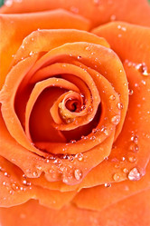 Similar image 953162