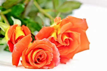 Similar image 953163