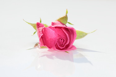 Similar image 953172