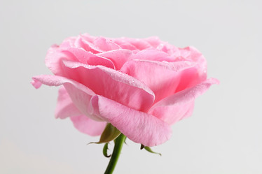 Similar image 953174