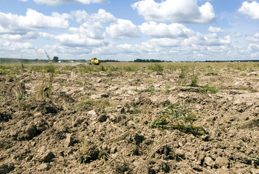 Similar image 953254