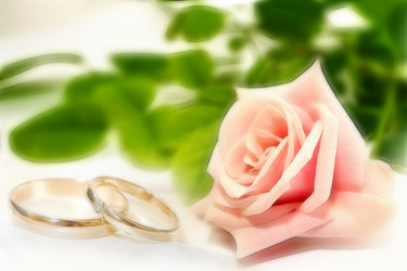 Similar image 953269