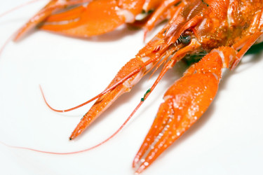 Similar image 953311