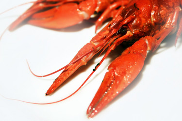 Similar image 953312