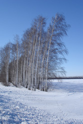 Similar image 953362