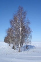 Similar image 953365