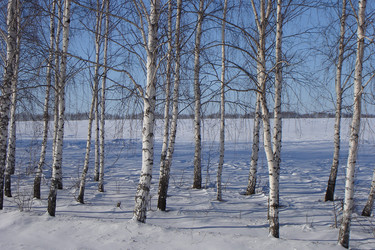 Similar image 953368