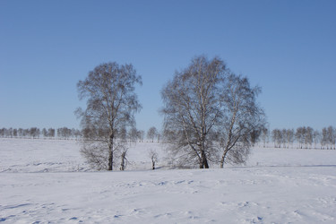 Similar image 953370