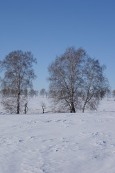 Similar image 953371