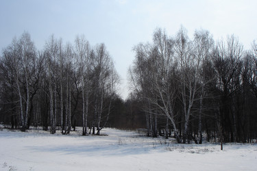 Similar image 953372