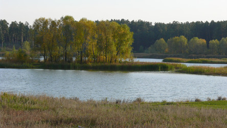 Similar image 953411