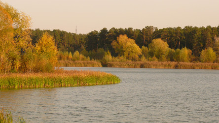 Similar image 953423