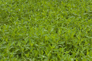 Similar image 953435