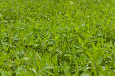 Similar image 953437