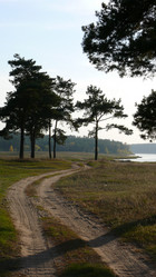 Similar image 953440