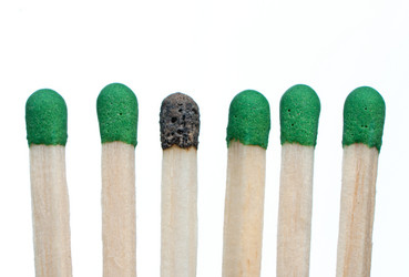 Similar image 953484