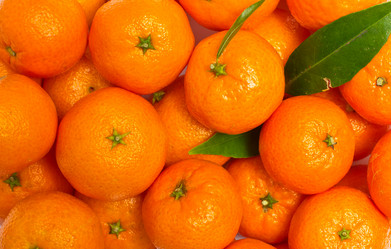 Similar image 953807