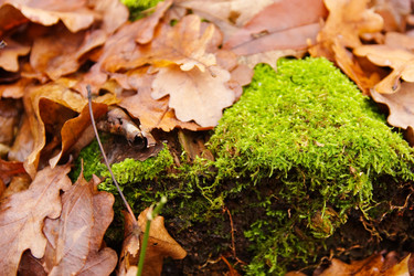 Similar image 953829