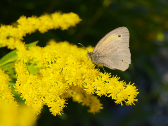 Similar image 953843