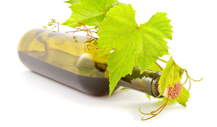 Similar image 953844