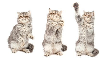 Similar image 953845