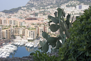 Similar image 954010