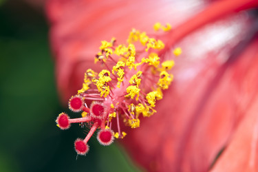 Similar image 954036