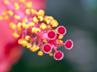 Similar image 954038