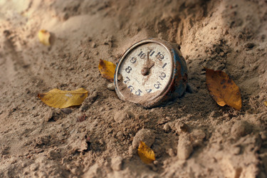 Similar image 954041