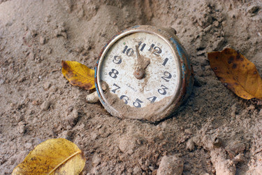 Similar image 954044