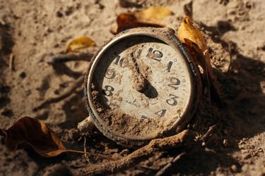 Similar image 954047