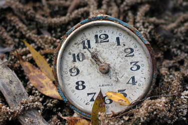 Similar image 954048