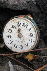 Similar image 954052