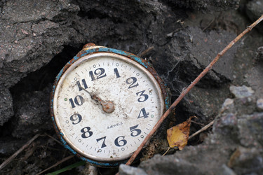 Similar image 954054