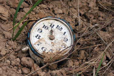 Similar image 954058