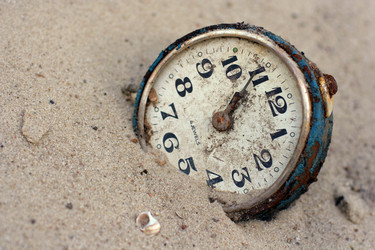 Similar image 954076