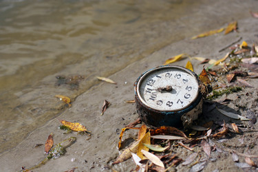 Similar image 954081