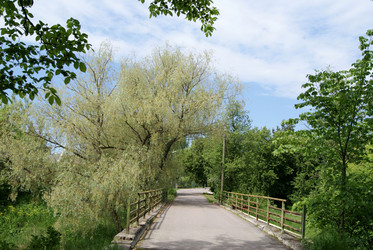 Similar image 954197