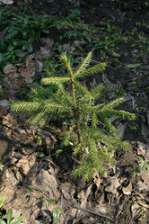 Similar image 954355