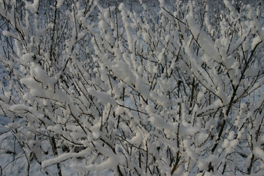 Similar image 954371