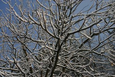 Similar image 954372